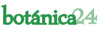 botánica 24